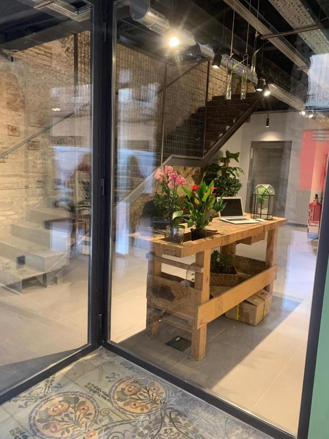 Vtz The Botanic Hostel Zaragoza Luaran gambar