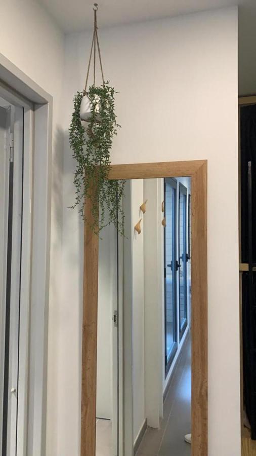 Vtz The Botanic Hostel Zaragoza Luaran gambar