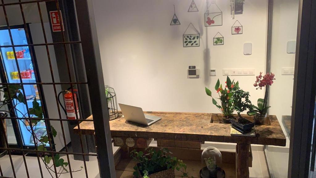 Vtz The Botanic Hostel Zaragoza Luaran gambar