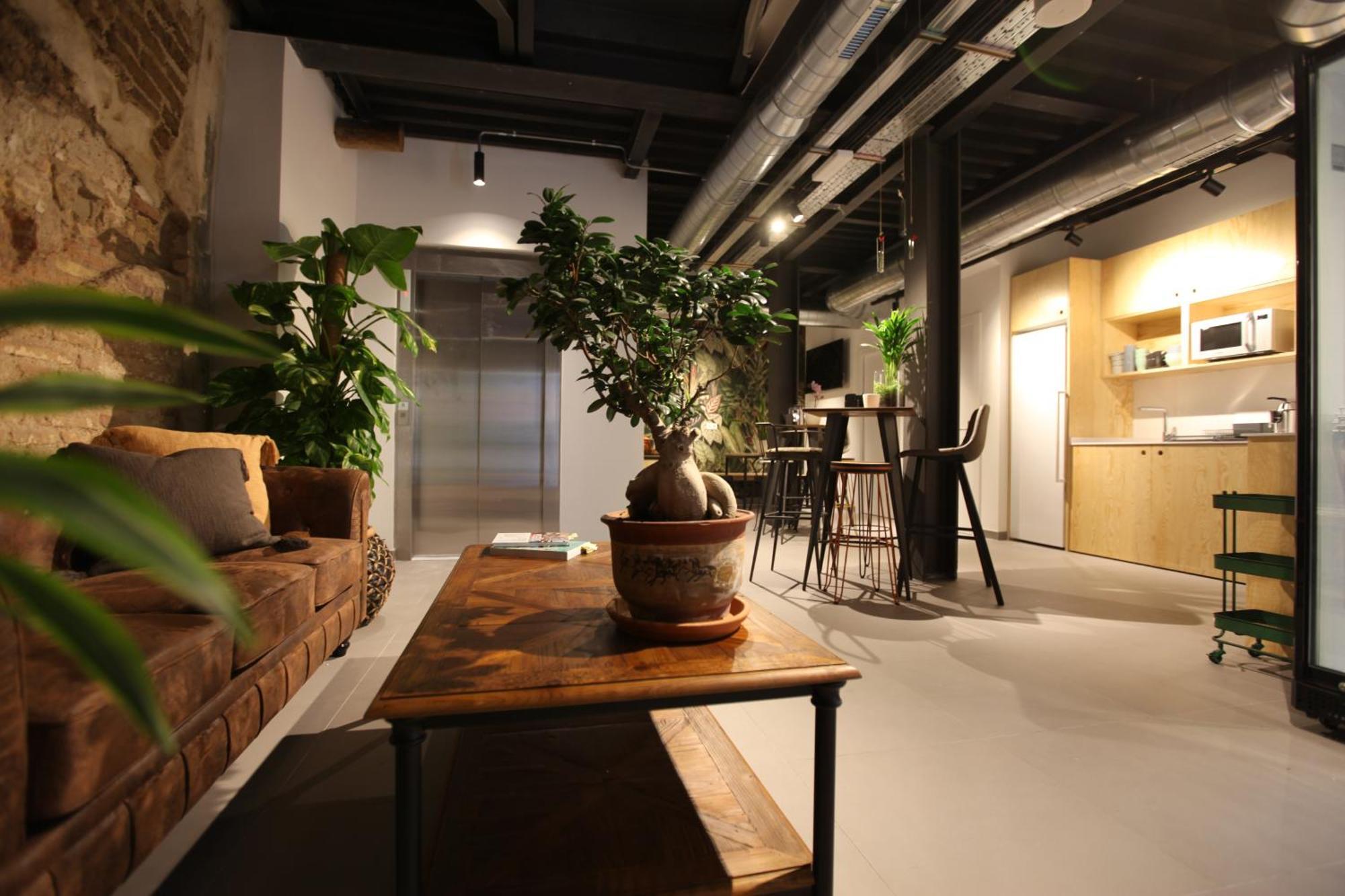 Vtz The Botanic Hostel Zaragoza Luaran gambar